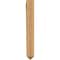 Ekena Millwork Olympic Arts & Crafts Smooth Bracket, Western Red Cedar, 3 1/2"W x 16"D x 28"H BKT04X16X28OLY03SWR - alternate 2